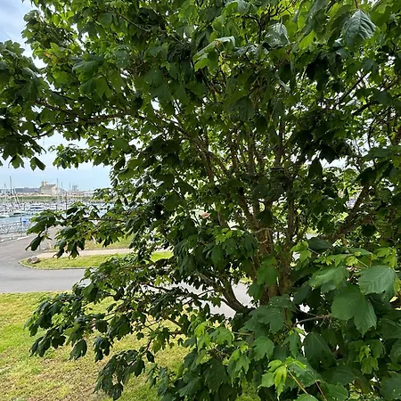 Lumineux Au Port De Plaisance Des Sables-d'olonne Avec Balcon Et Equipements Modernes - Fr-1-197-602 Apartamento Les Sables-dʼOlonne